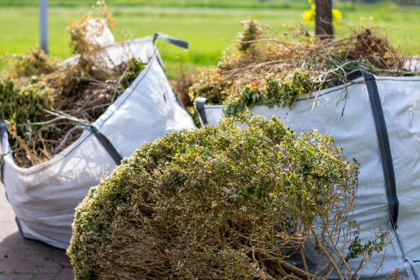 Best Full-Service Junk Removal  in Colwyn, PA